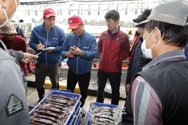 울릉군수협 직원들이 오징어 경매를 진행하고 있다.