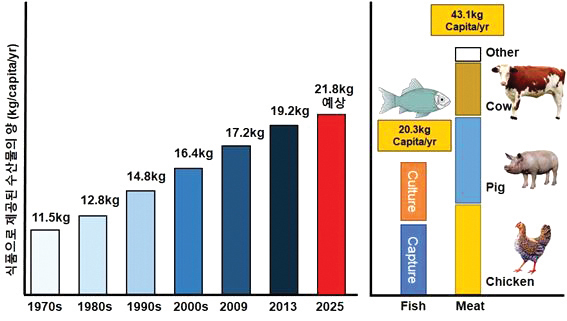 그림1. 지난 50년 동안의 수산물 소비에 대한 변화 추세와, 수산식품과 육상 가축 소비 비교
