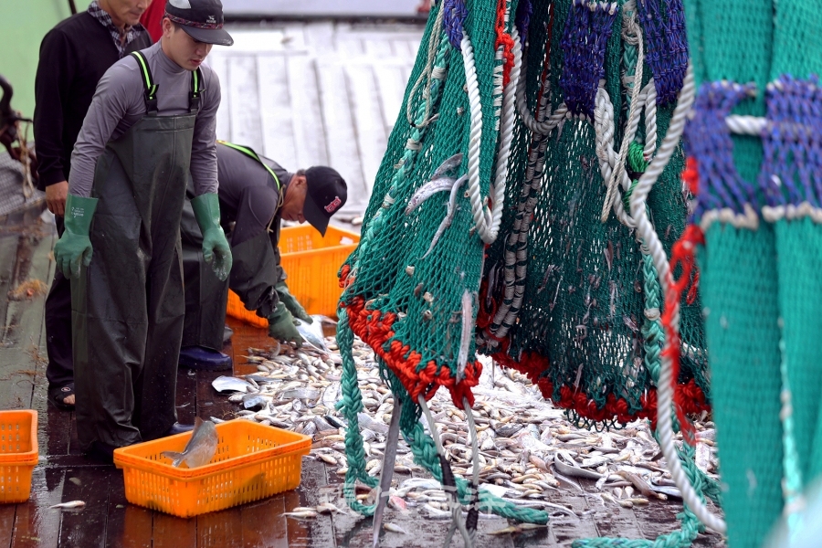 기대에 미치지 못하는 어획으로 어장 변화를 실감하고 있는 어업인들