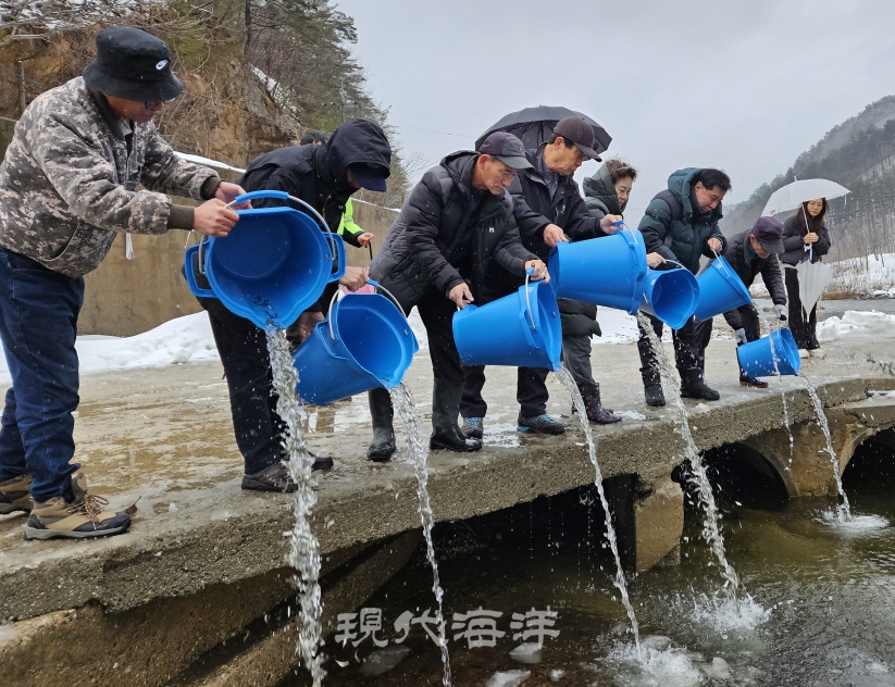 남대천 인근 마을 주민이 어린 연어 방류에 함께 했다. 사진은 한국수산자원공단.